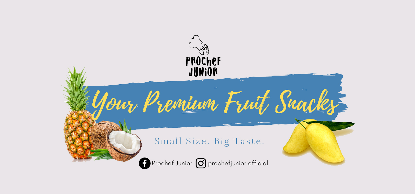 Prochef Junior Your Premium Fruit Snacks
